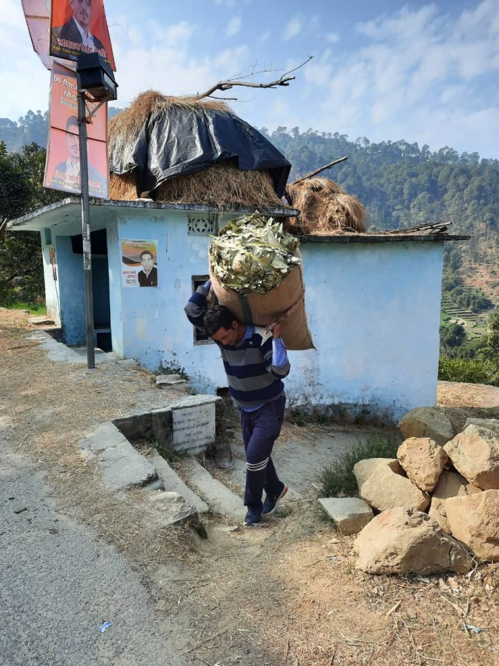 CAP Nainital Img-02